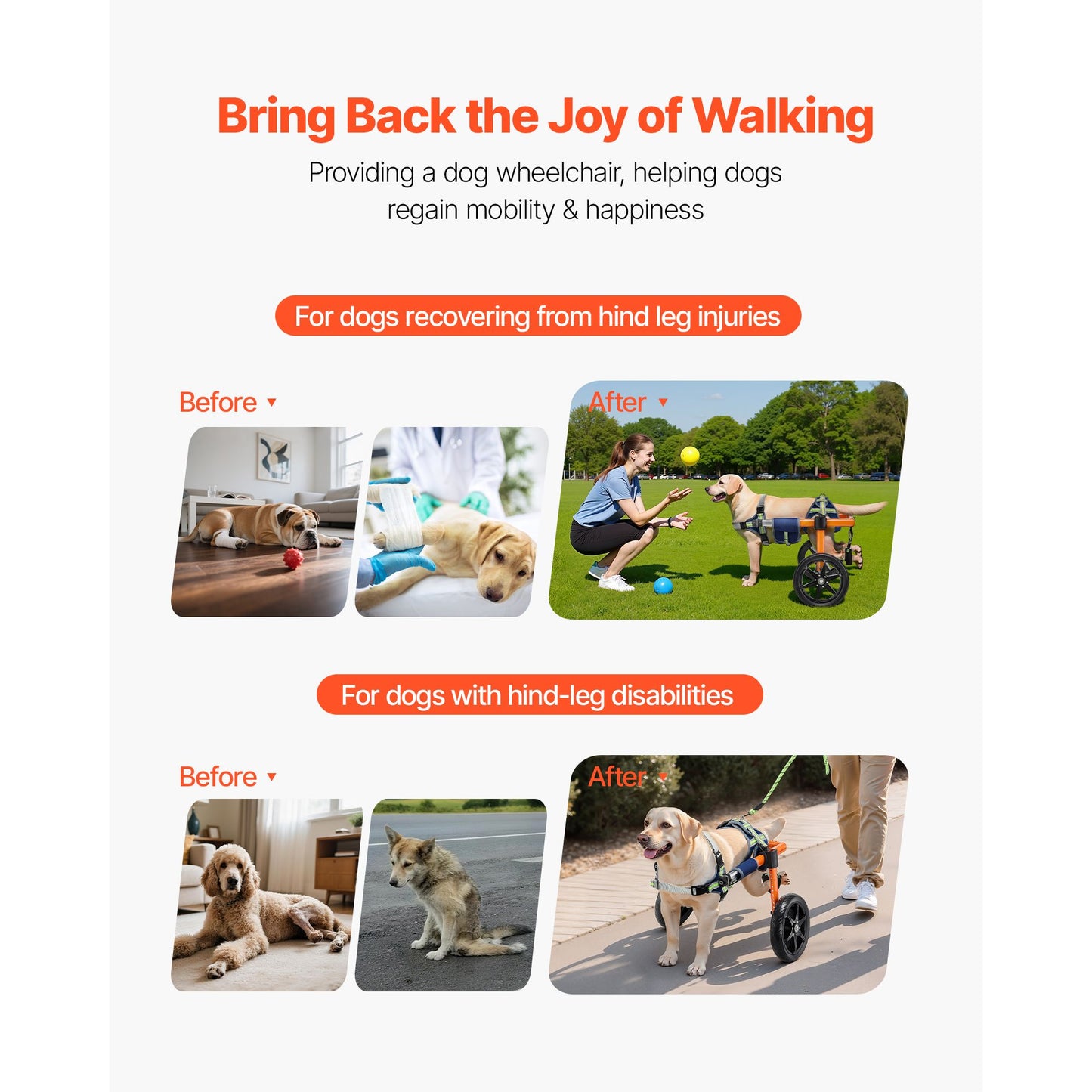 Dog Wheelchair for Back Legs, Lightweight 2 Wheels Pet Wheelchair