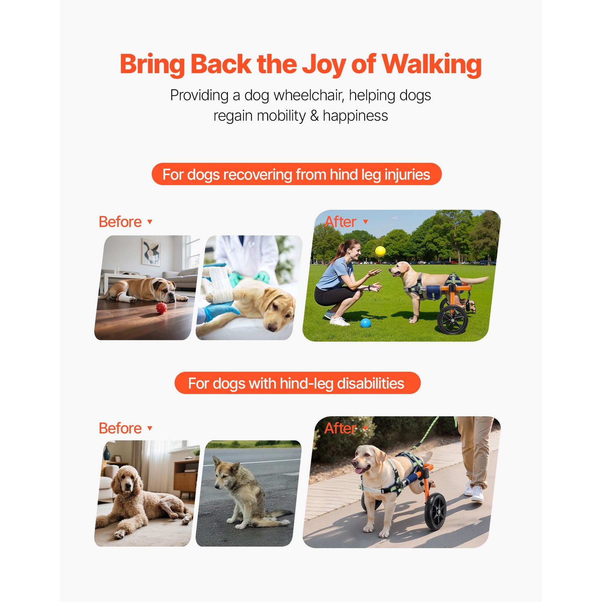Dog Wheelchair for Back Legs, Lightweight 2 Wheels Pet Wheelchair