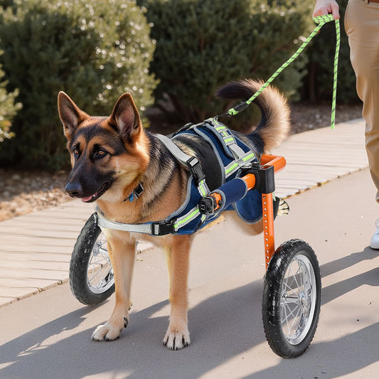 Dog Wheelchair for Back Legs, Lightweight 2 Wheels Pet Wheelchair