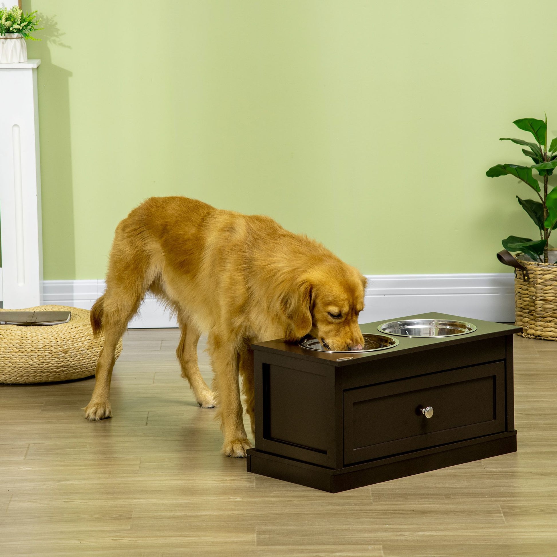 Double Elevated Dog Bowls for Large Dogs, Raised Dog Feeding