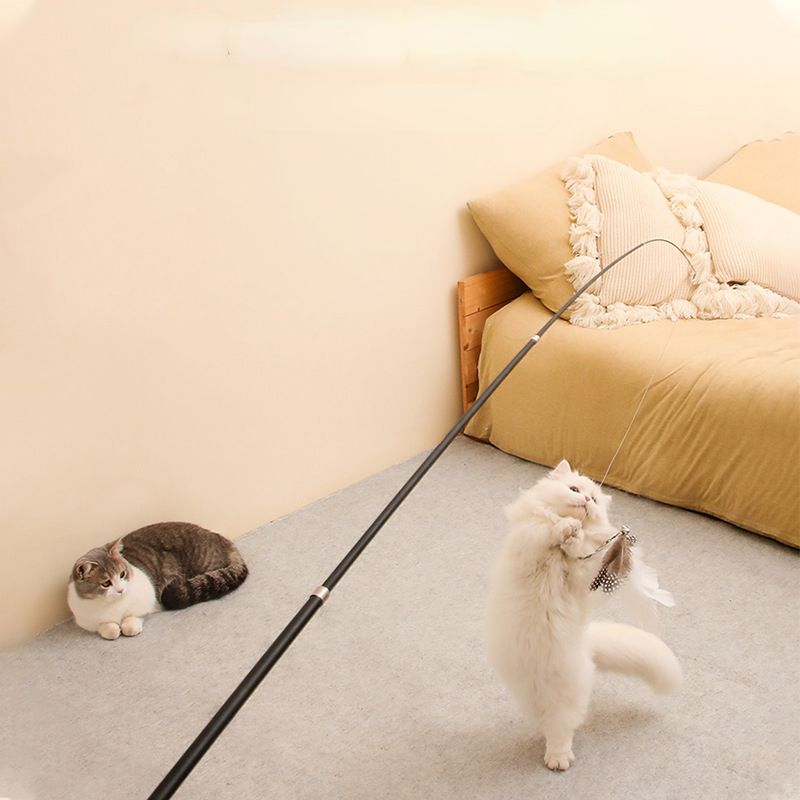 555845671