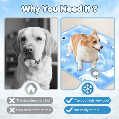 556468321