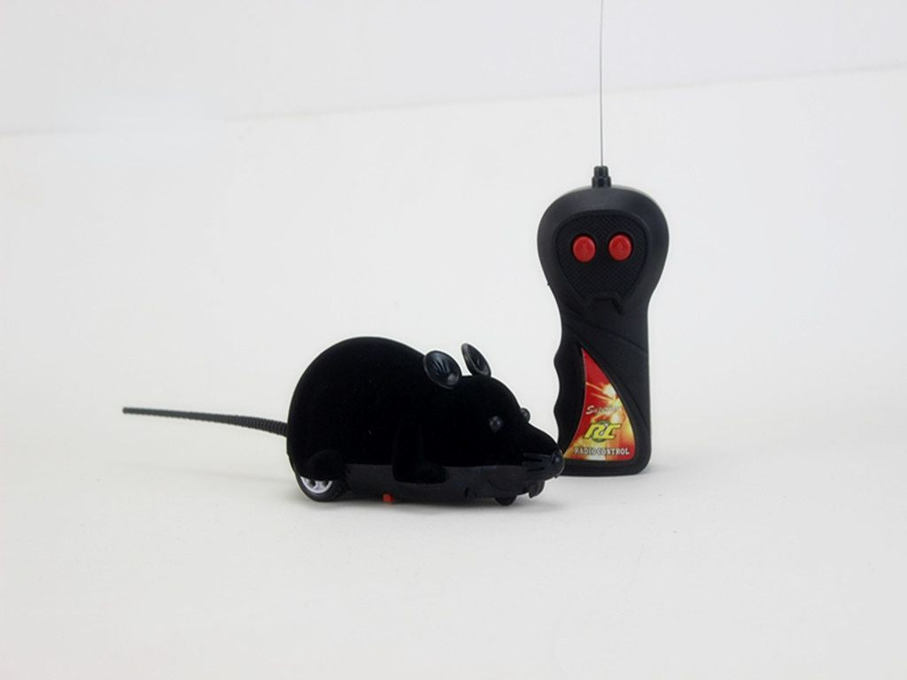 555842341