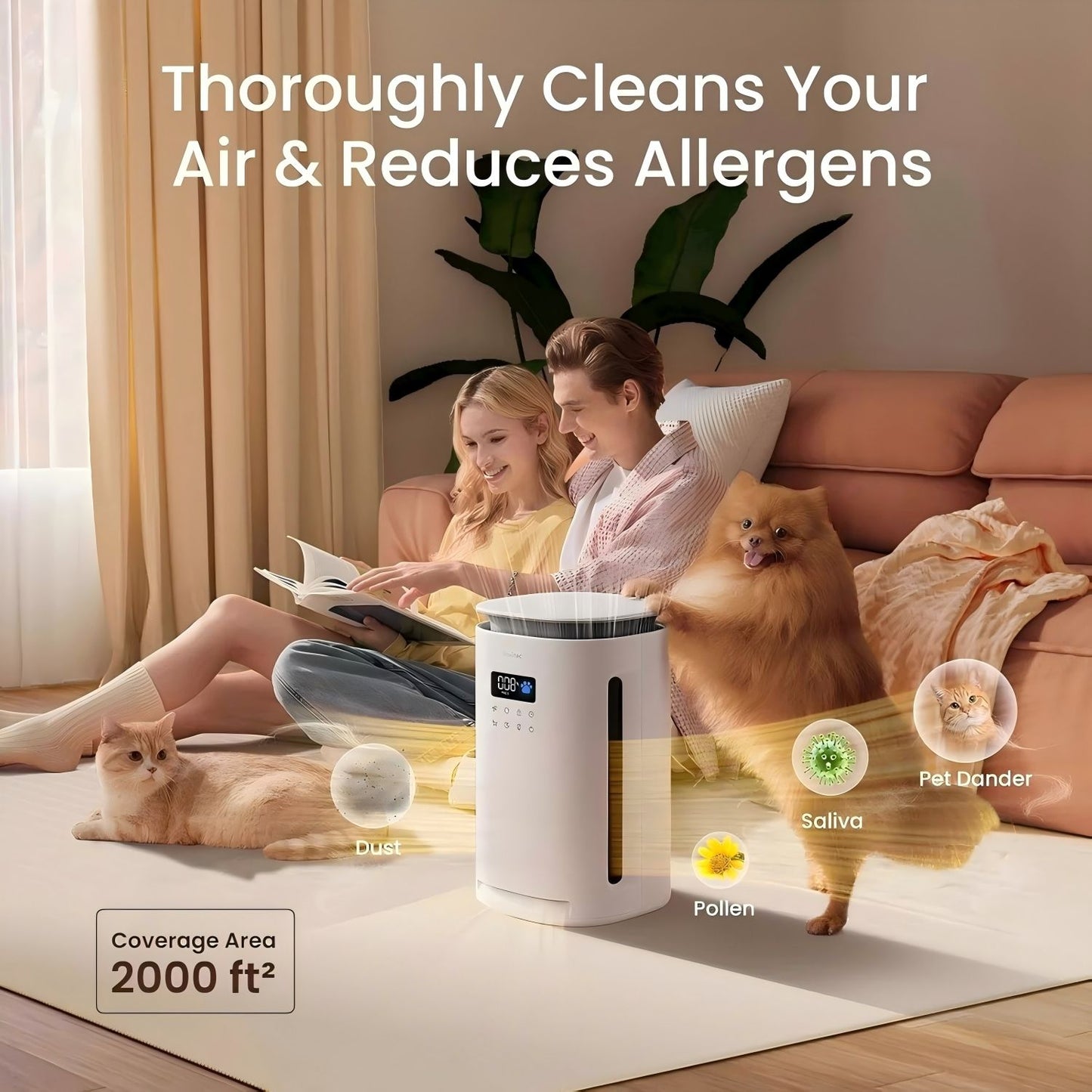 556477481