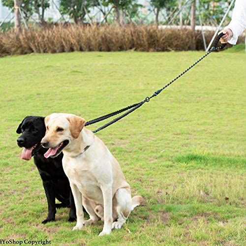 Dual Dog Leash; Double Dog Leash; 360 Swivel No Tangle Walking