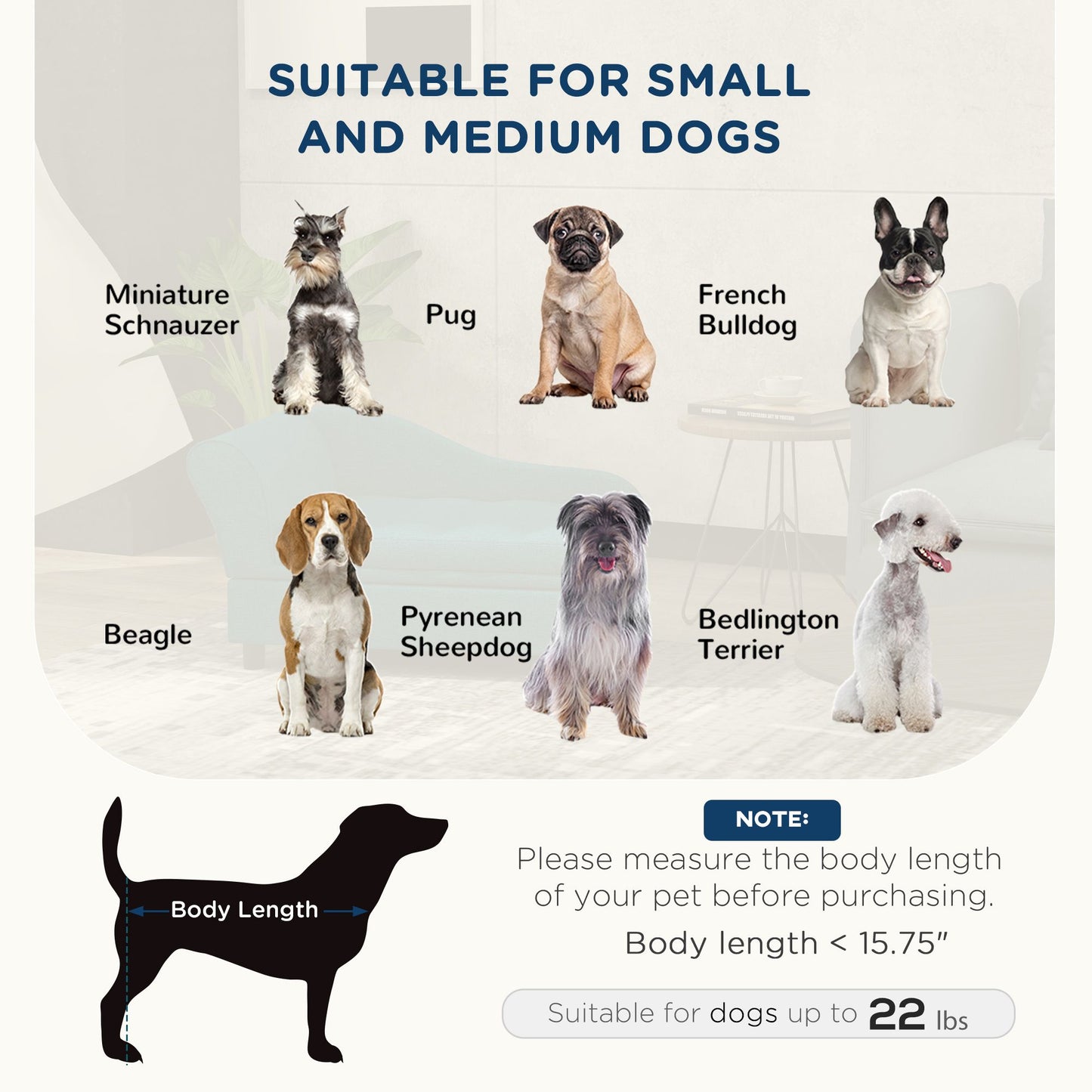 Elevated Dog Bed with Storage Space Soft Cushion