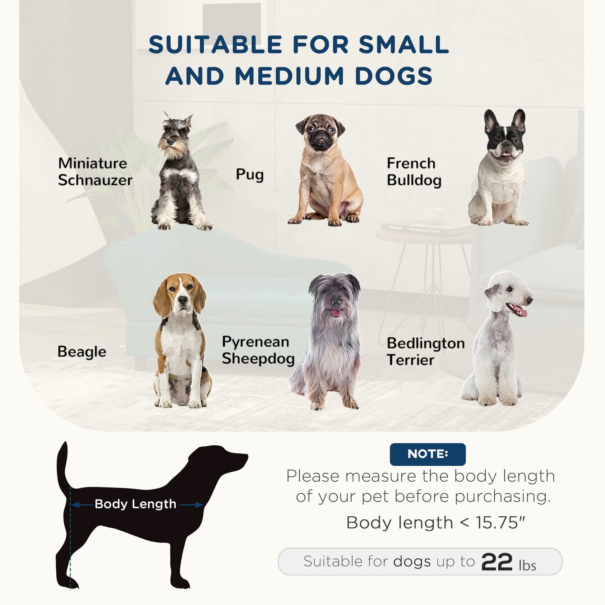 Elevated Dog Bed with Storage Space Soft Cushion