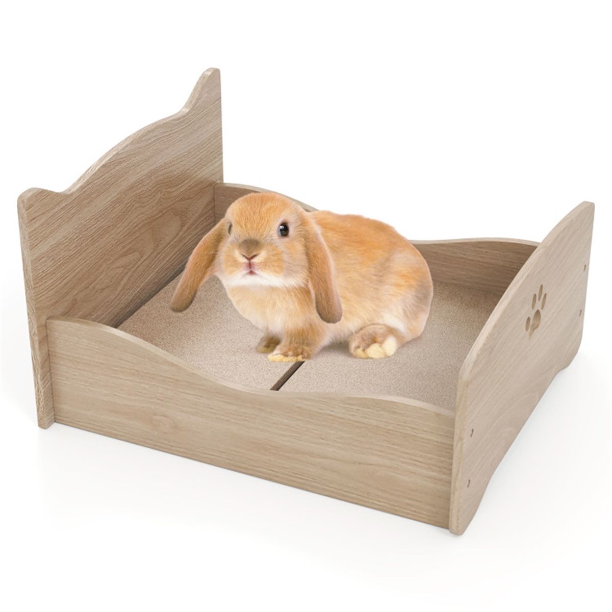 Elevated Pet Bed Frame 21 X 20