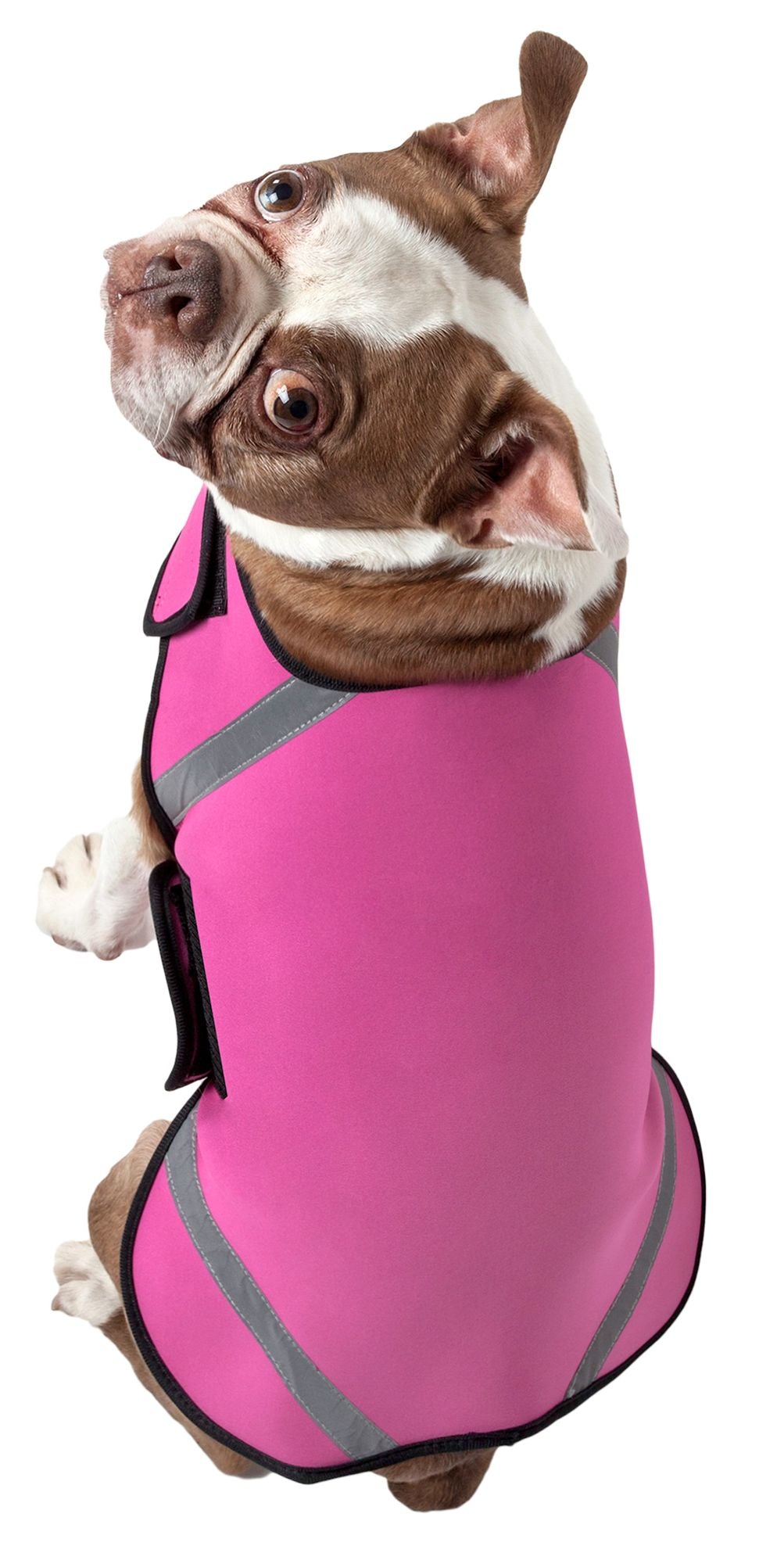 Extreme Neoprene Multi-Purpose Protective Shell Dog Coat