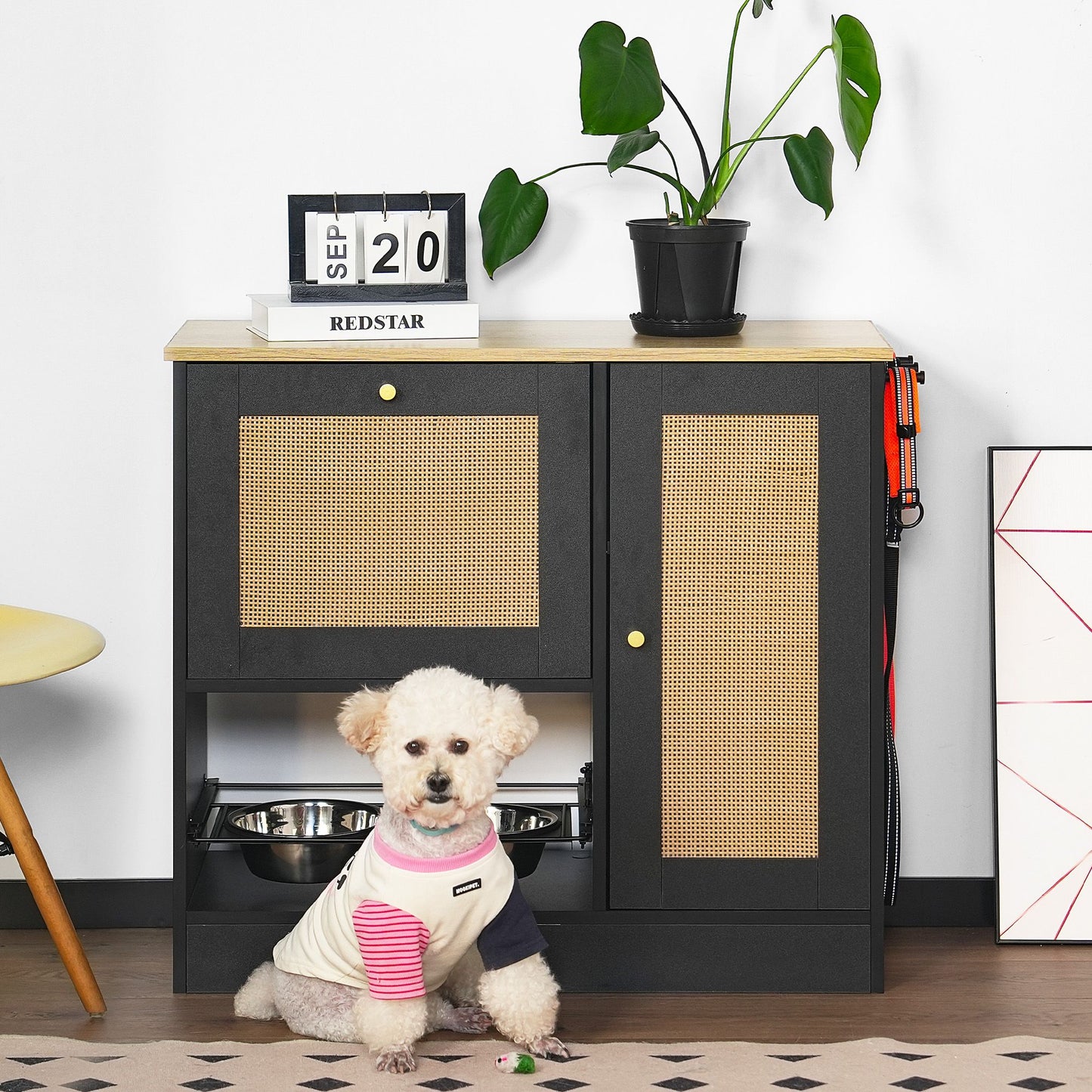 Feeding Station with 2 Lockers, Pet Feeding Station with 2 Elevated