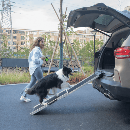 Foldable Aluminum Dog Car Step Ramp, Dog Ramp Climbing Ladder