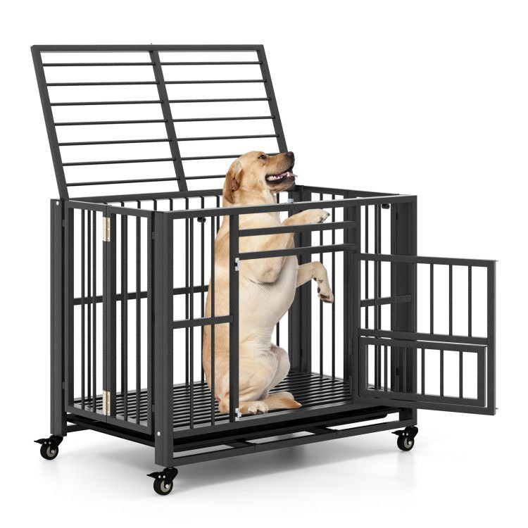 Foldable Heavy-Duty Metal Dog Cage Chew-Proof Dog Crate
