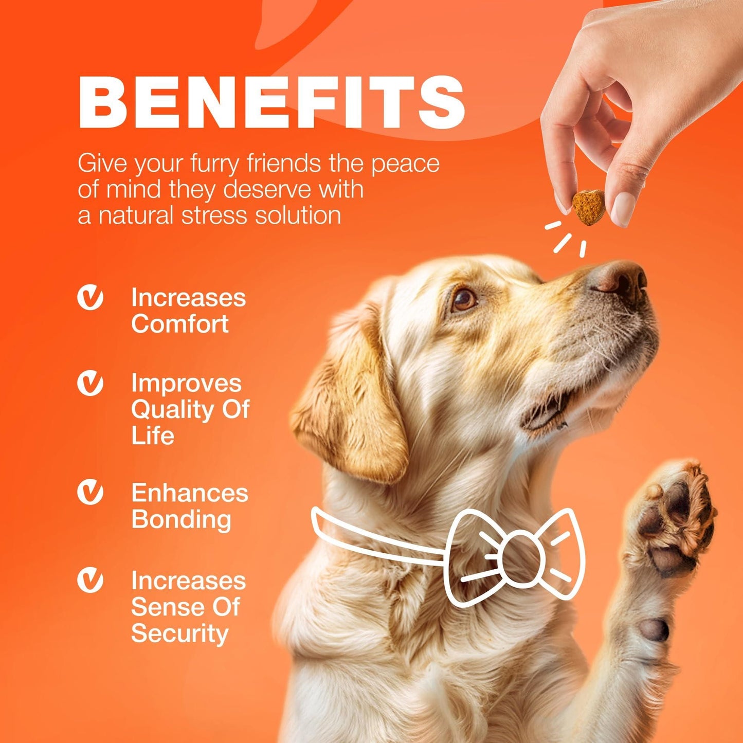 Hemp Hip & Joint Chews for Dogs, Glucosamine Chondroitin & MSM