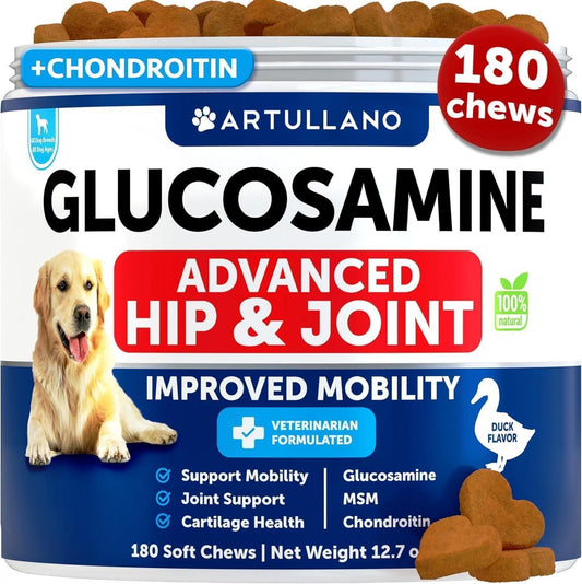 Glucosamine Hip & Joint Chews for Large Dogs, 120 Soft Chews