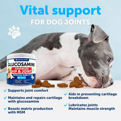 Glucosamine Hip & Joint Chews for Large Dogs, 120 Soft Chews
