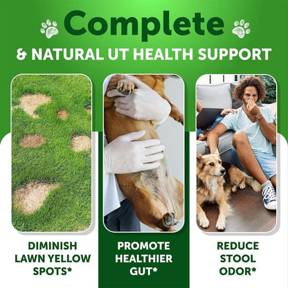 Grass Guard Chews for Dogs, Lawn Burn Spot Support