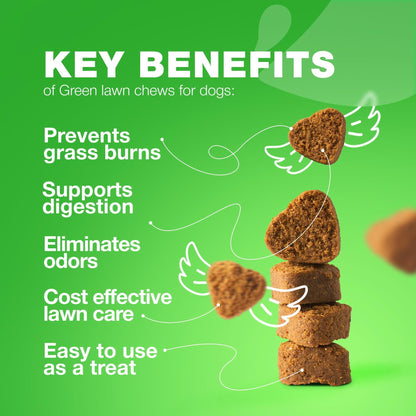 Grass Guard Chews for Dogs with Enzymes & Multivitamins