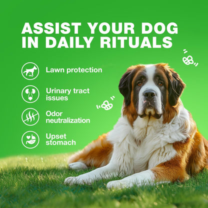 Grass Guard Chews for Dogs with Enzymes & Multivitamins