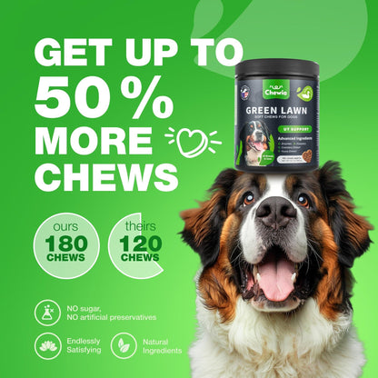Grass Guard Chews for Dogs with Enzymes & Multivitamins