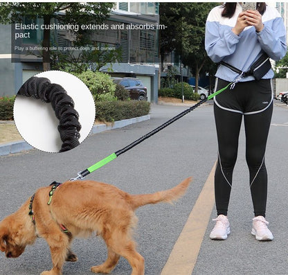 Hands Free Dog Leash with Zipper Pouch; Dual Padded Handles