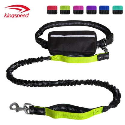 Hands Free Dog Leash with Zipper Pouch; Dual Padded Handles