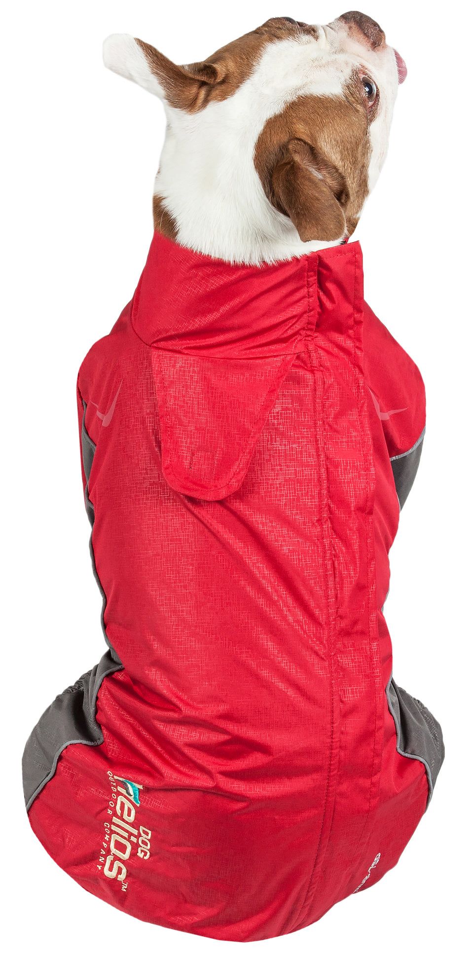 Dog Helios Blizzard Full-Bodied Adjustable and 3M Reflective Dog Jacket