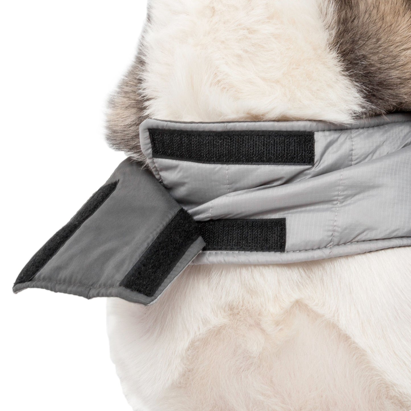 Dog Helios Hurricane-Waded Plush 3M Reflective Dog Coat with Blackshark