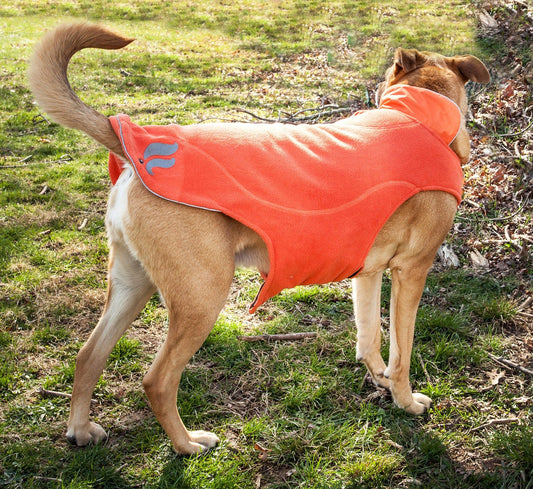 Dog Helios Lotus-Rusher Waterproof 2-in-1 Convertible Dog Jacket