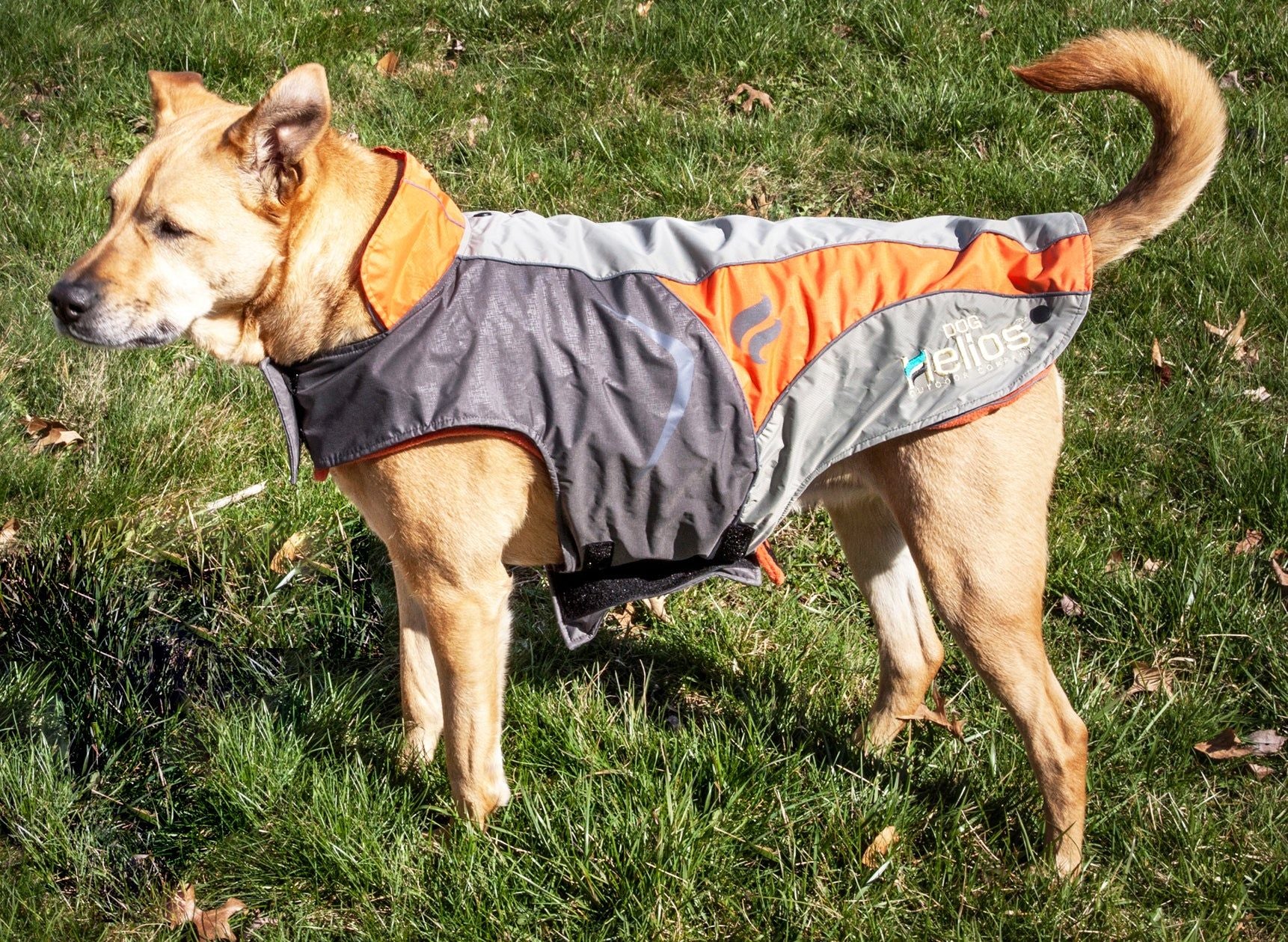 Dog Helios Lotus-Rusher Waterproof 2-in-1 Convertible Dog Jacket