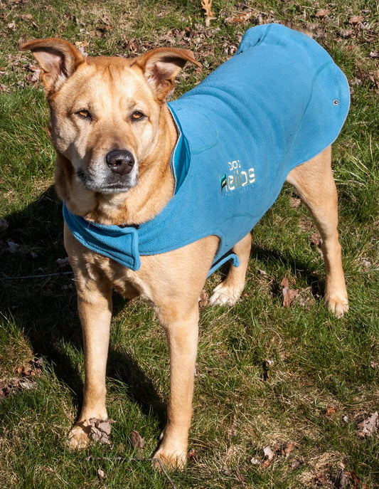 Helios Lotus-Rusher Waterproof 2-in-1 Convertible Dog Jacket
