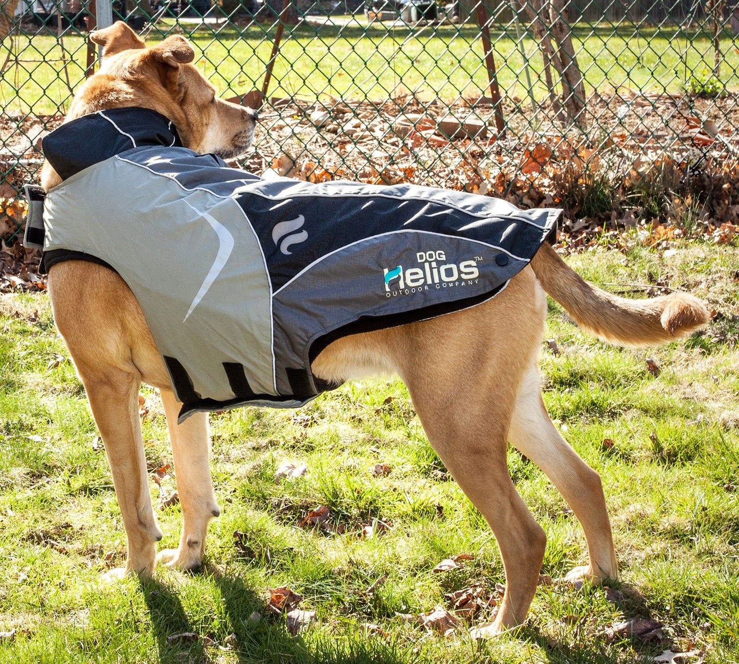 Dog Helios Lotus-Rusher Waterproof 2-in-1 Convertible Dog Jacket