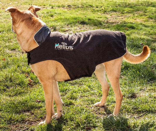 Dog Helios Lotus-Rusher Waterproof 2-in-1 Convertible Dog Jacket