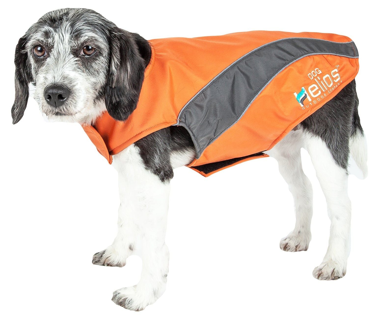 Dog Helios Octane Softshell Neoprene Satin Reflective Dog Jacket