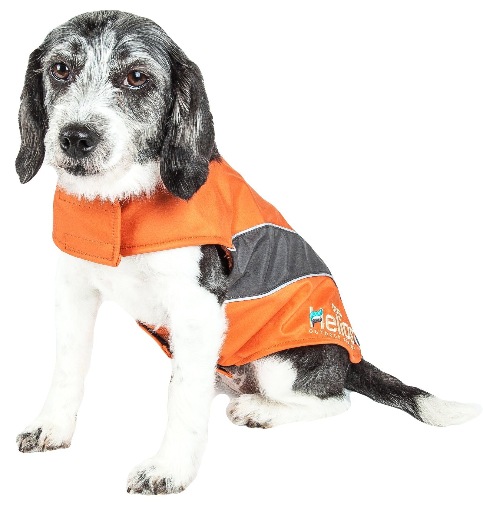 Dog Helios Octane Softshell Neoprene Satin Reflective Dog Jacket