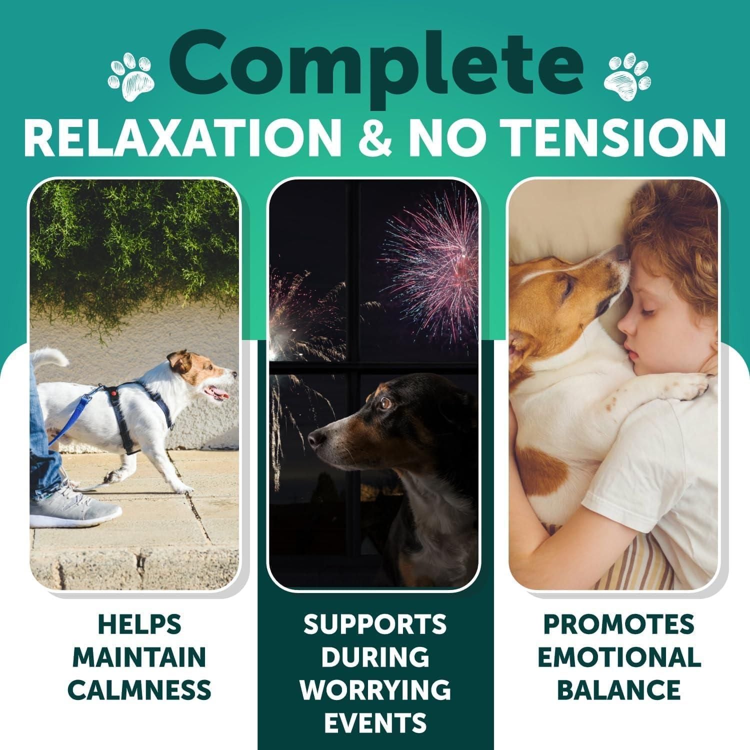 Hemp Calming Chews for Dogs with Turmeric, Valerian & Ginger