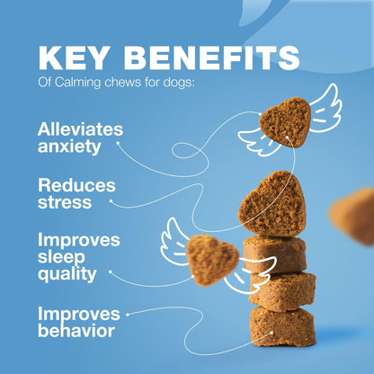 Hemp Calming Chews for Dogs with L-Theanine & Chamomile