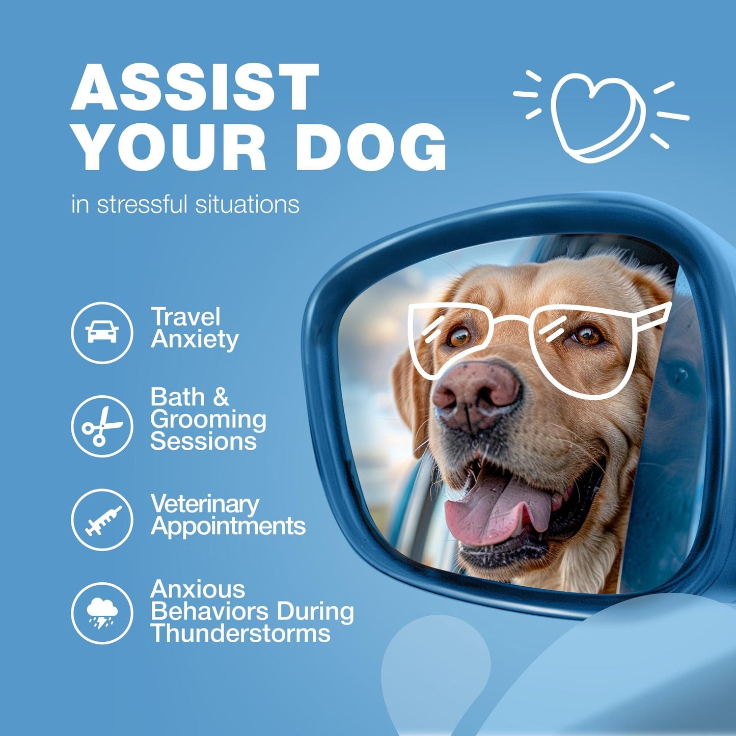 Hemp Calming Chews for Dogs with L-Theanine & Chamomile