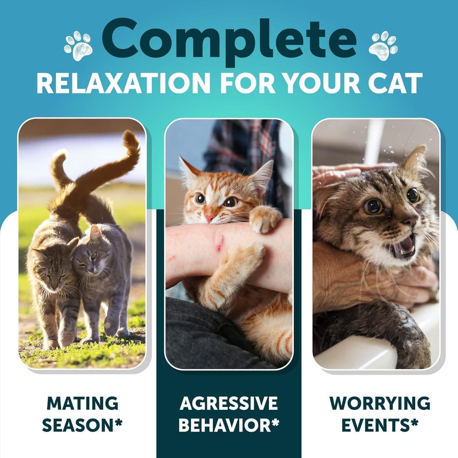 Hemp Calming Chews for Cats with Melatonin, 135 Soft Chews