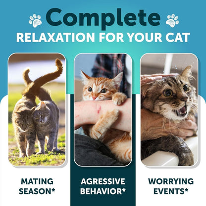 Hemp Calming Chews for Cats with Melatonin, 135 Soft Chews