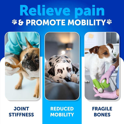 Hemp Hip & Joint Support Chews for Dogs with Glucosamine