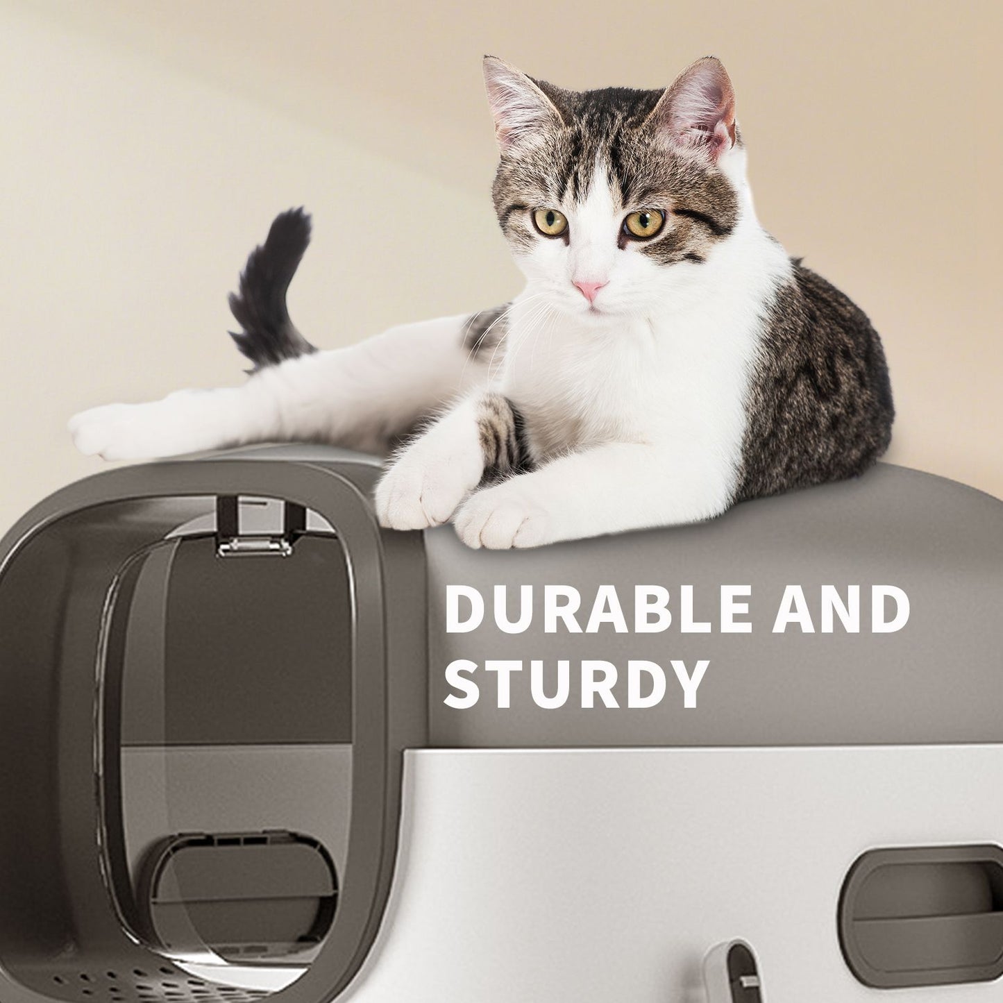 High-Capacity Enclosed Cat Litter Box | Odor-Lock