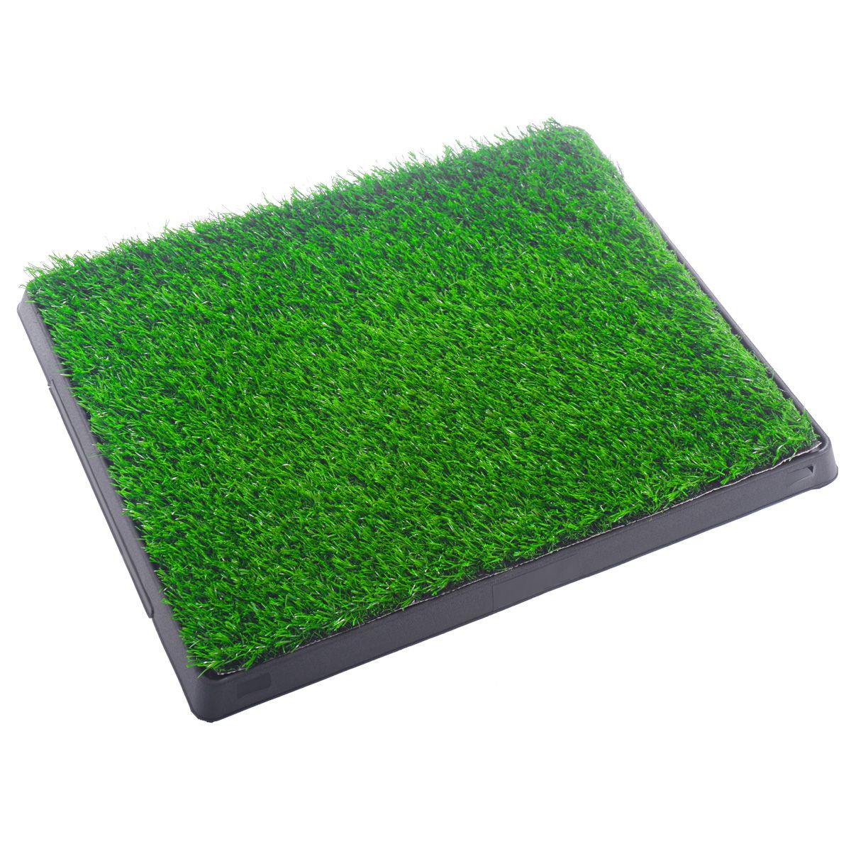 Indoor/Outdoor Pet Loo, Dog Litter Box, Portable Dog Litter Box