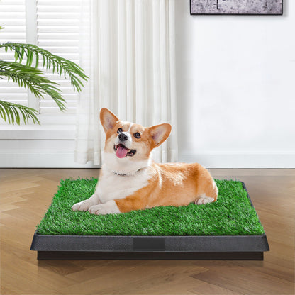 Indoor/Outdoor Pet Loo, Dog Litter Box, Portable Dog Litter Box