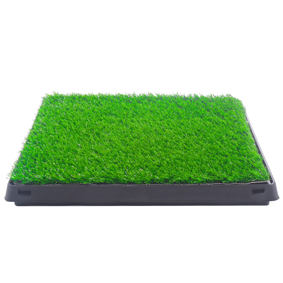 Indoor/Outdoor Pet Loo, Dog Litter Box, Portable Dog Litter Box