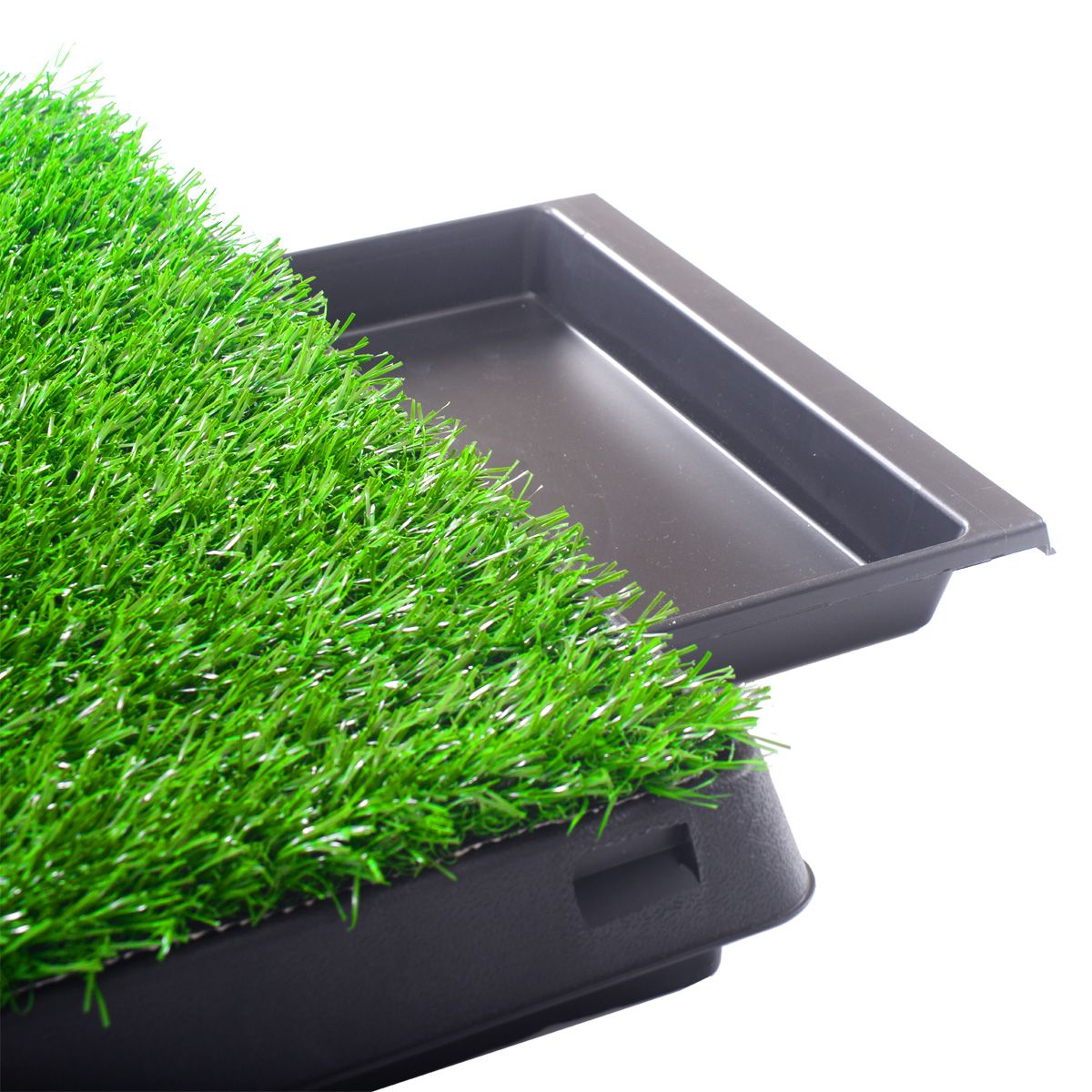 Indoor/Outdoor Pet Loo, Dog Litter Box, Portable Dog Litter Box
