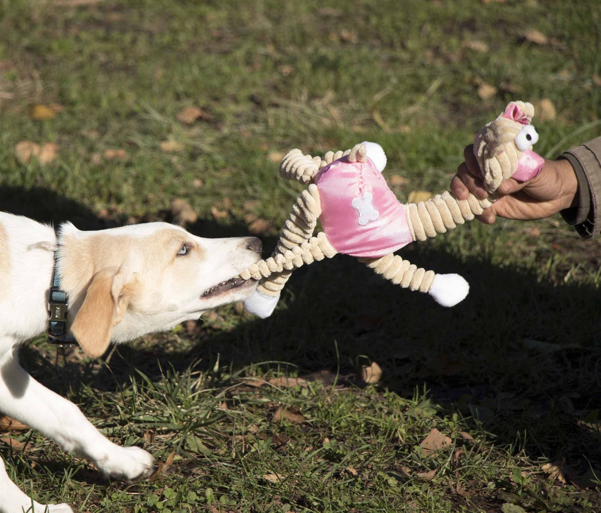 Jute and Rope Giraffe - Pig Pet Toy