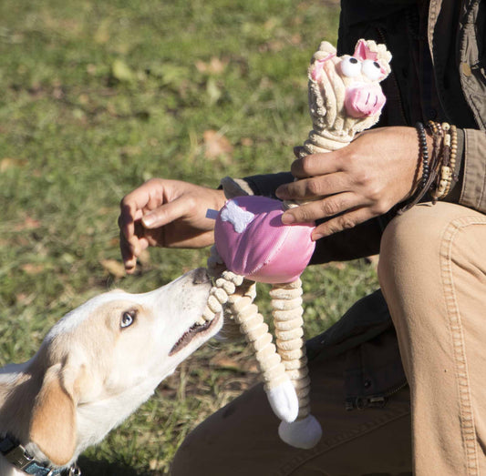 Jute and Rope Giraffe - Pig Pet Toy