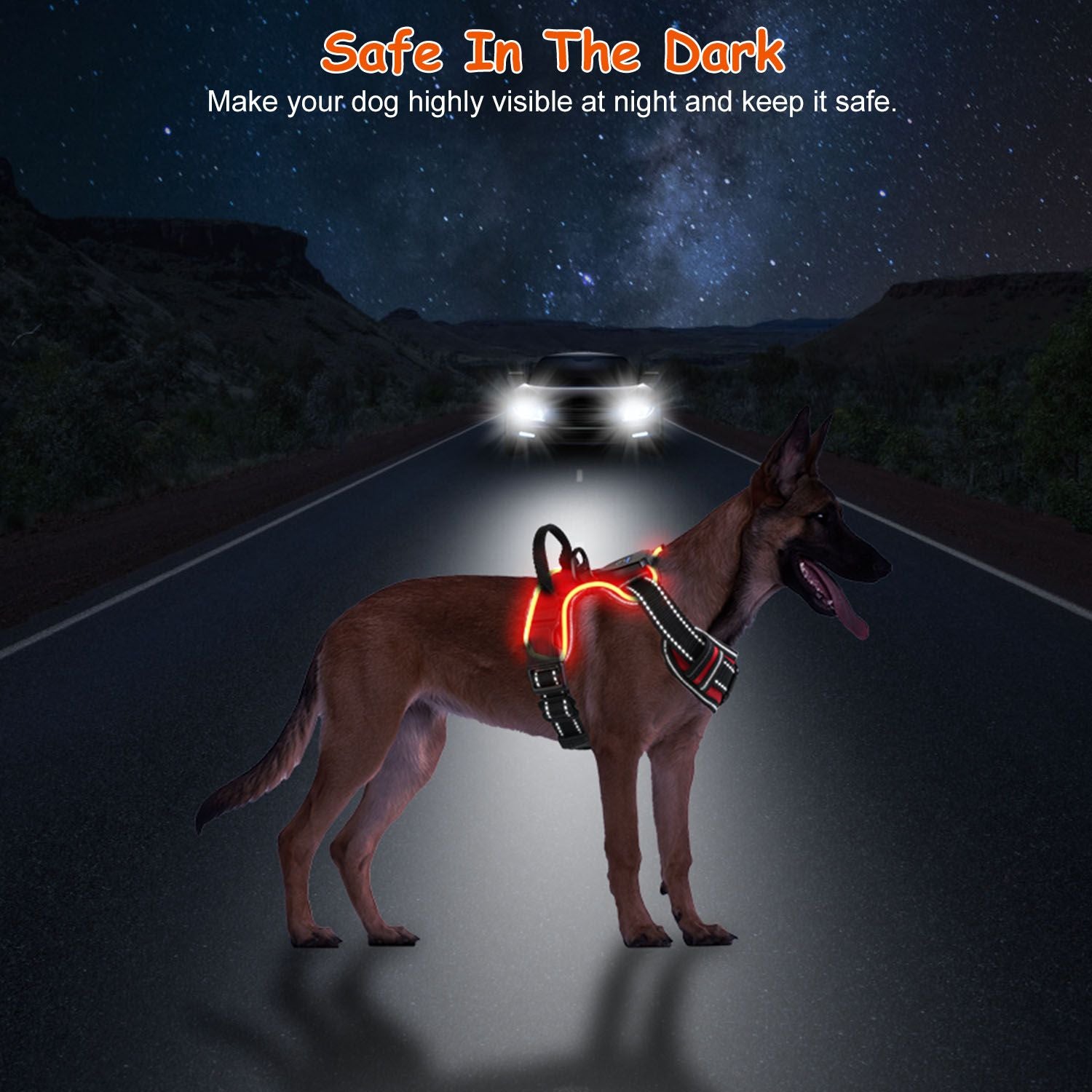 Light up Dog Harness Rechargeable LED Dog Harness No Pull Lighted