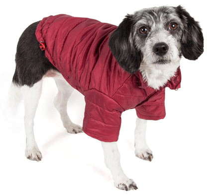 Lightweight Adjustable Pet Coat