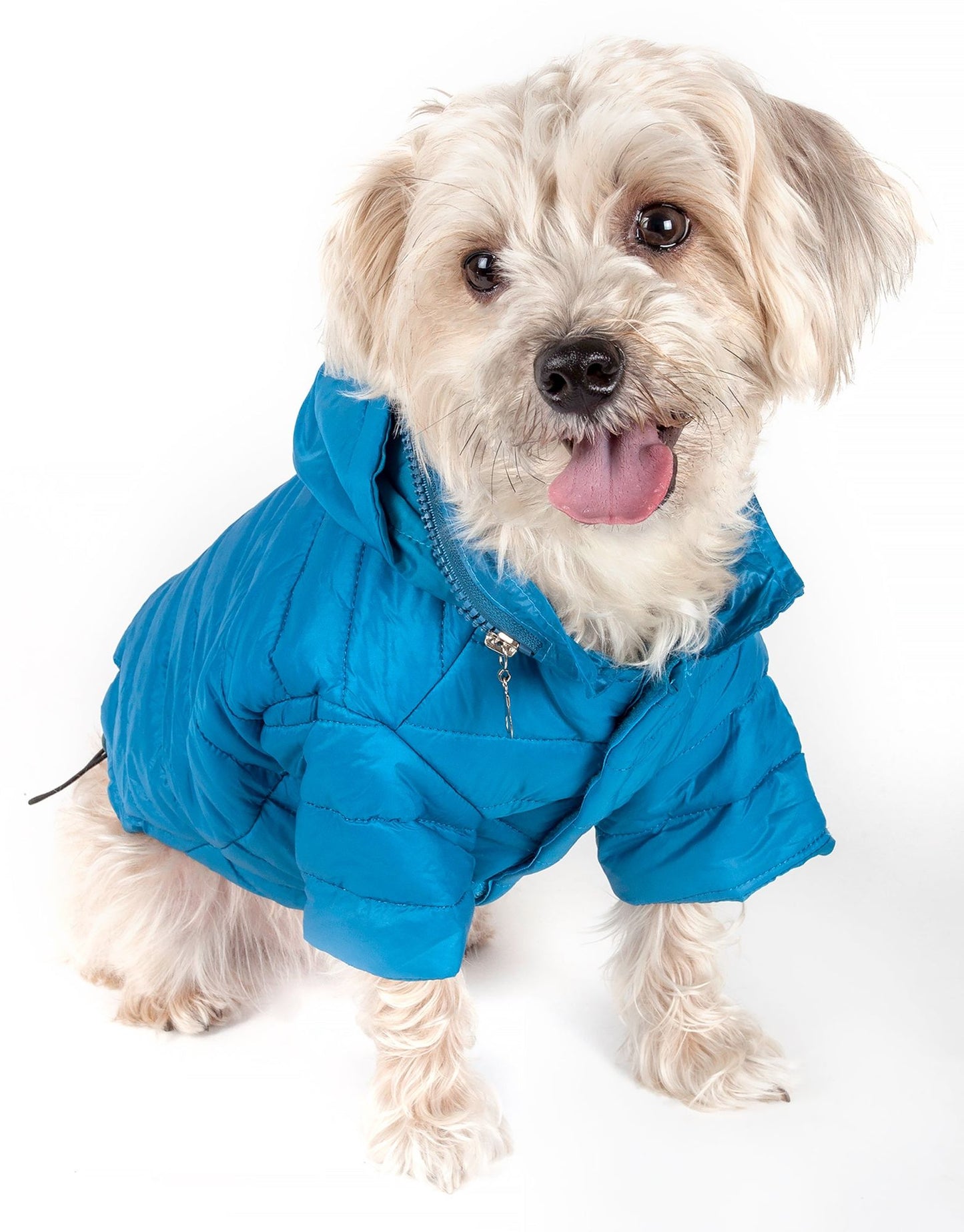 Lightweight Adjustable Pet Coat